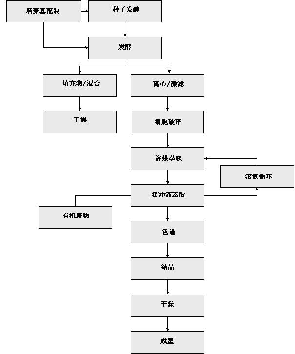 ß-胡罗卜素通过浸式发酵生产,两种三孢布拉氏霉菌混合培养物